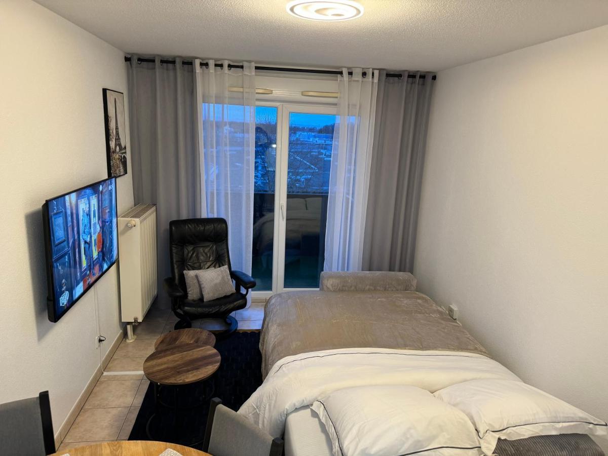 Appartement Calme Avec Balcon, A 4Km Du Centre, Parking, Wi-Fi, Netflix Gratuit Štrasburk Exteriér fotografie